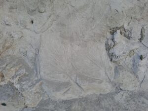 detail concrete